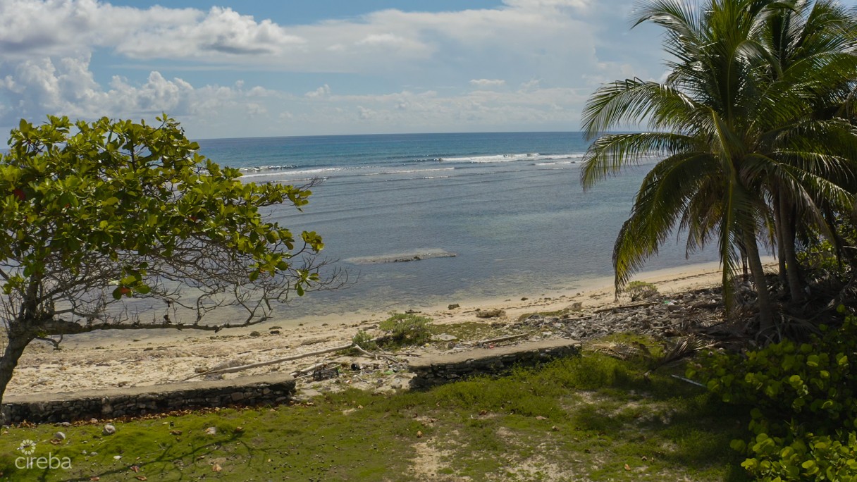 Cayman Brac Corner Lot With Ocean View - Image 6