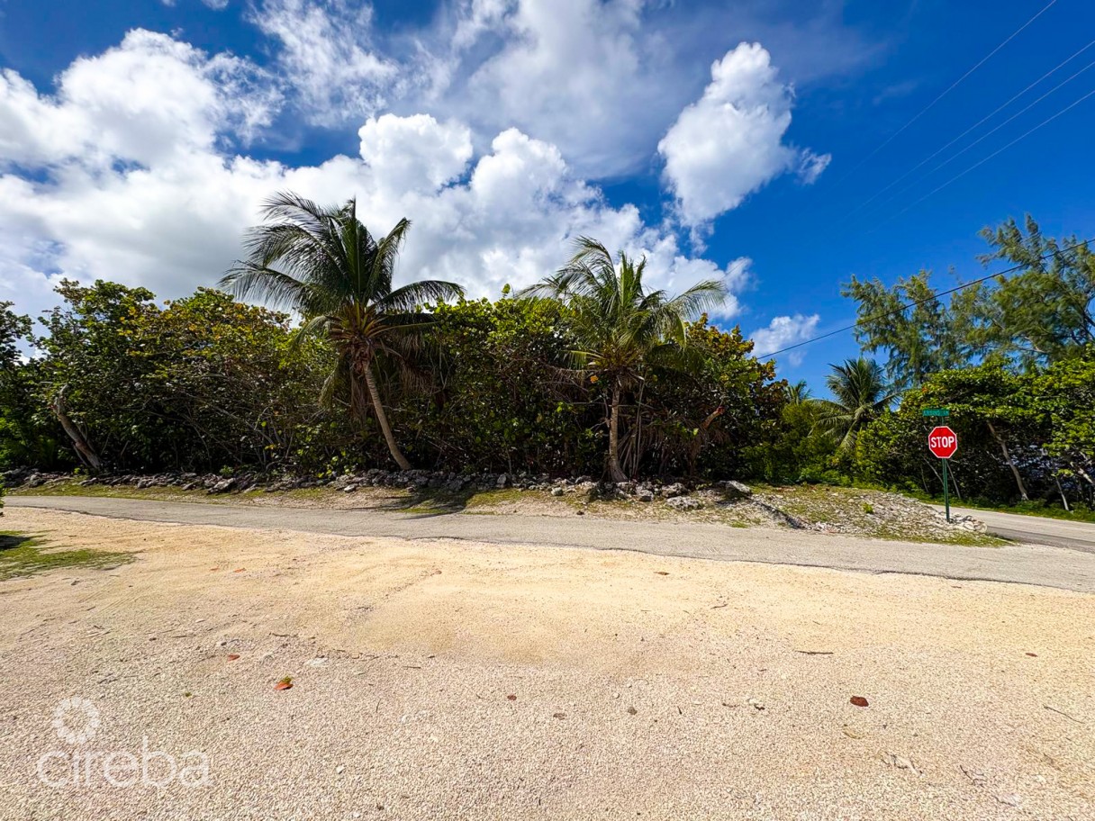 Cayman Brac Corner Lot With Ocean View - Image 7