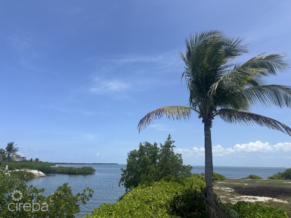 Reduced Us$225,000 - The Shores Canal Front Large 0.4459acres