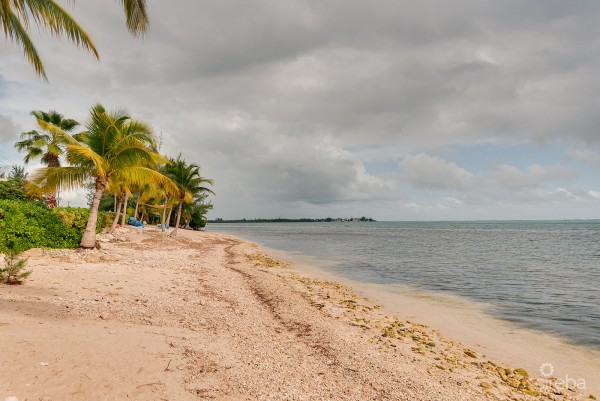 Cayman Crossing 2 Bedroom