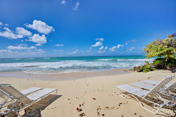 Grape Tree Condo Seven Mile Beach